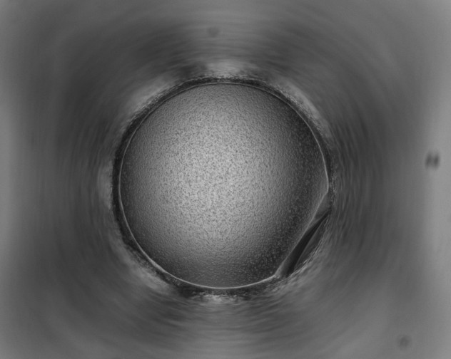 X0000102010442200807251313