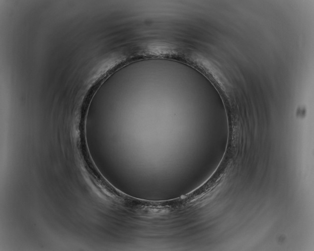 X0000102010443200807251313