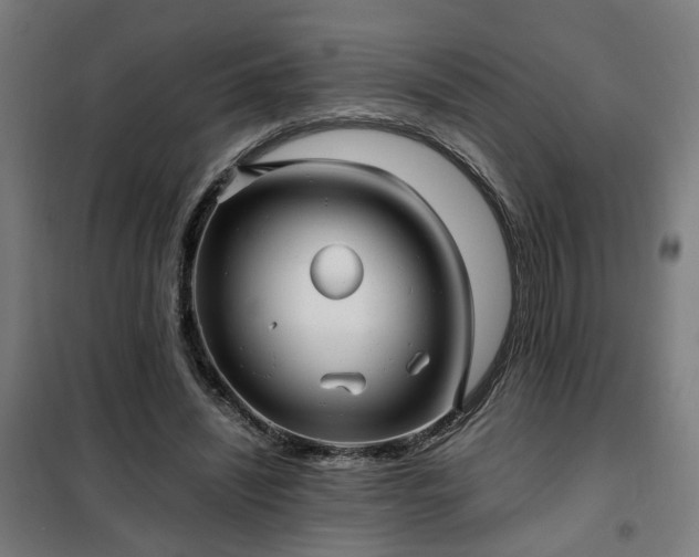 X0000102010444200807251313