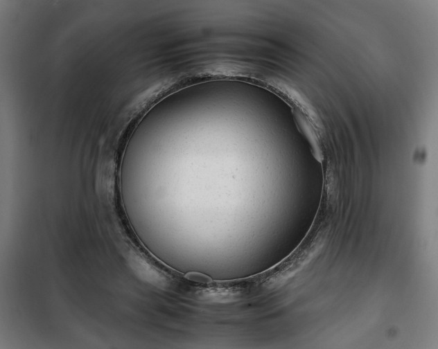 X0000102010445200807251313