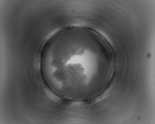 X0000102010446200807251313