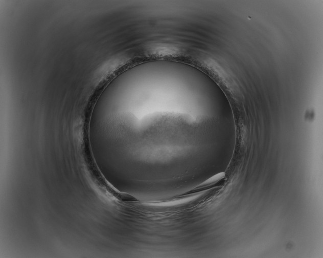X0000102010447200807251313