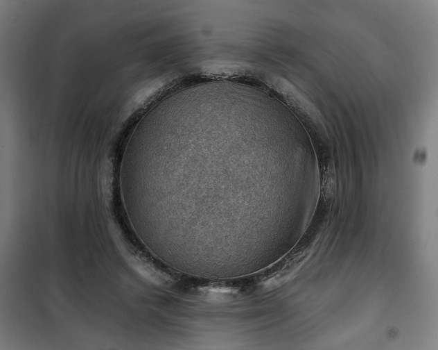X0000102010448200807251313