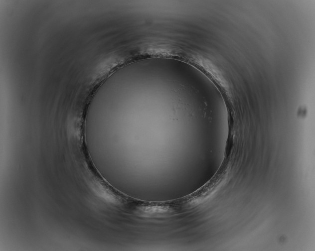 X0000102010449200807251313