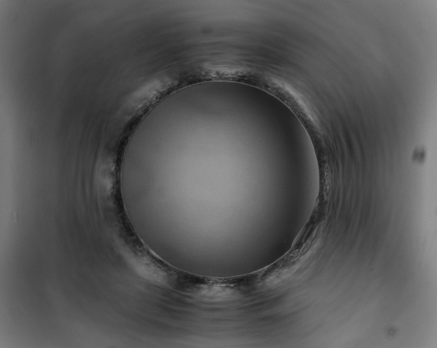 X0000102010451200807251313