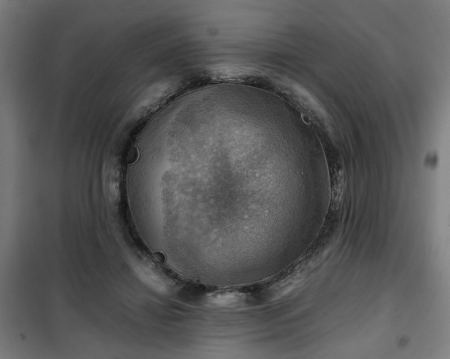 X0000102010452200807251313