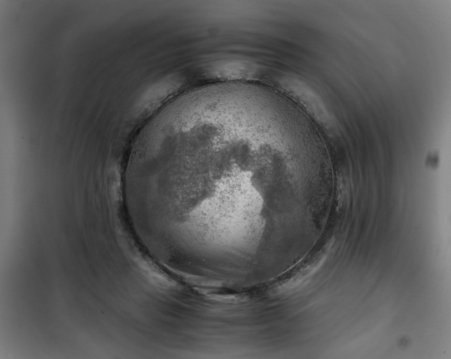 X0000102010453200807251313