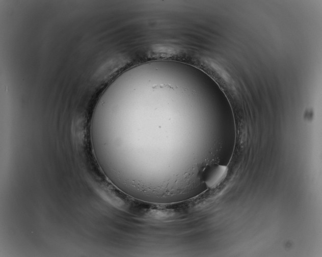 X0000102010455200807251313