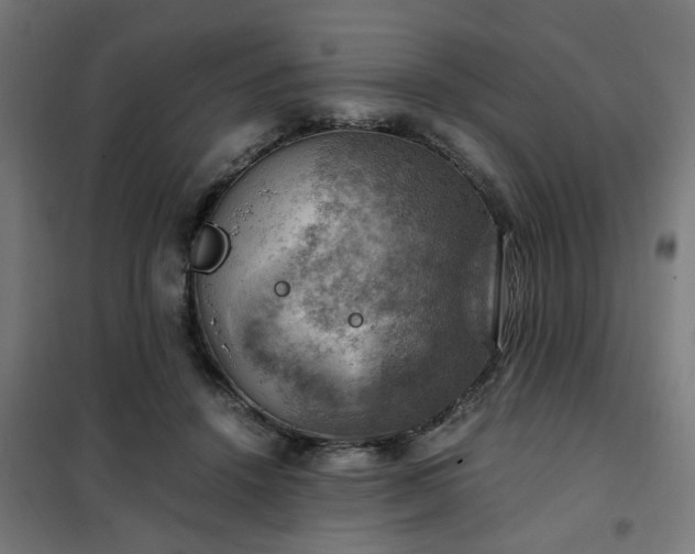 X0000102010456200807251313