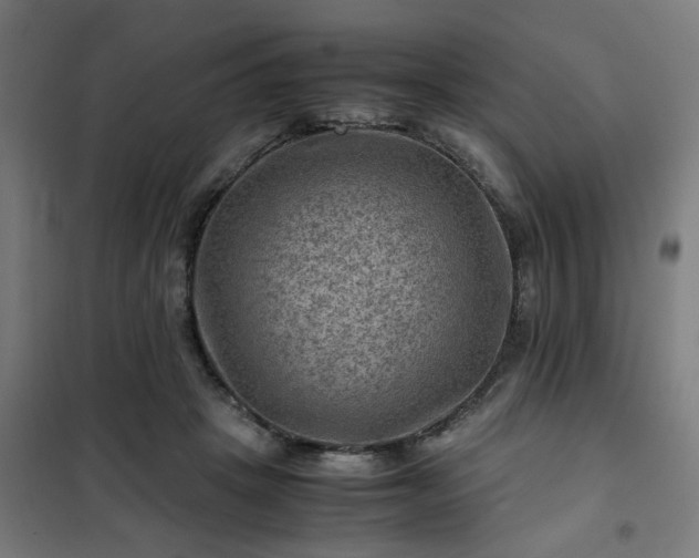 X0000102010457200807251313