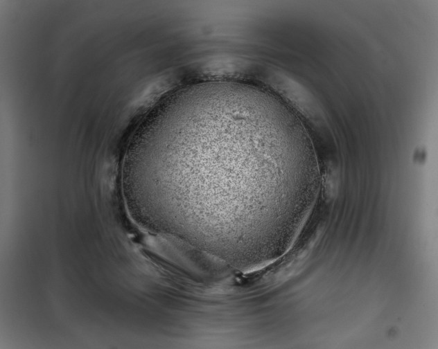 X0000102010458200807251313
