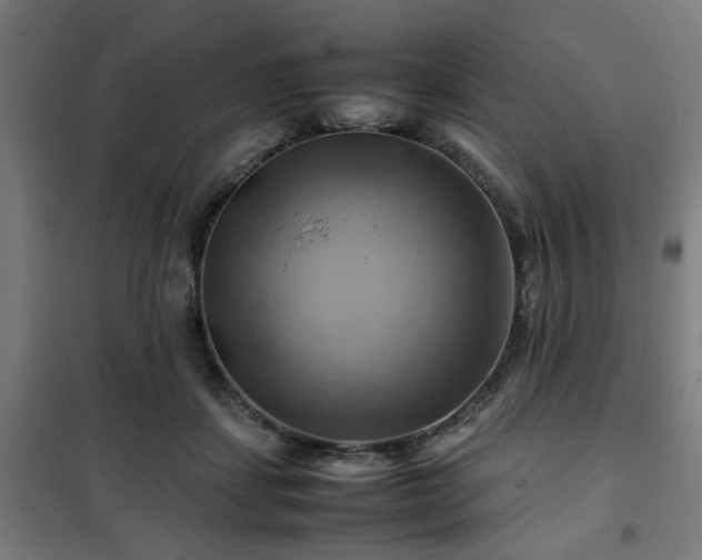 X0000102010459200807251313