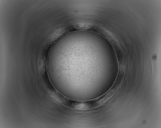 X0000102010460200807251313