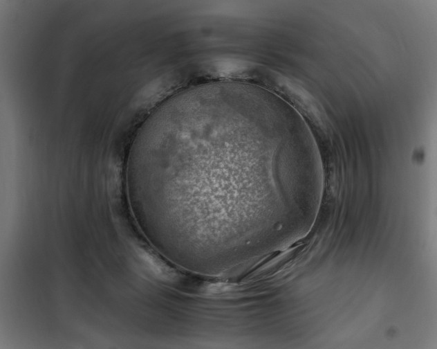 X0000102010461200807251313
