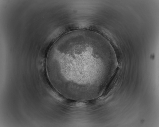 X0000102010462200807251313