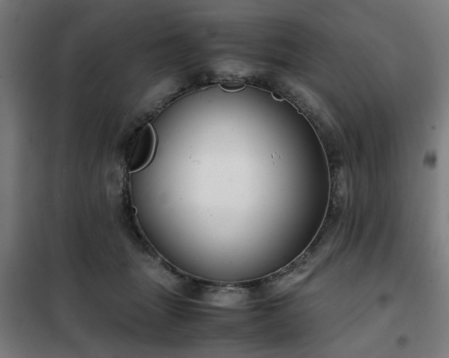 X0000102010463200807251313
