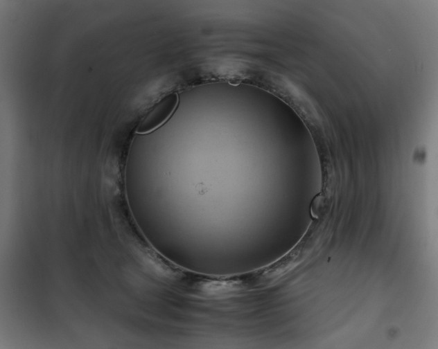 X0000102010465200807251313