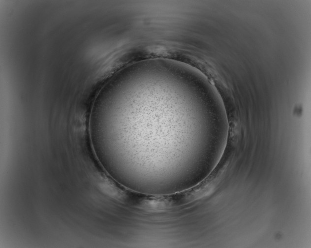 X0000102010466200807251313