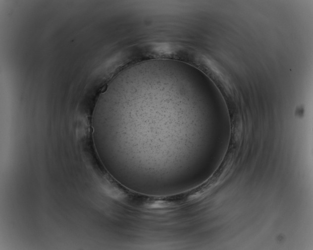 X0000102010467200807251313