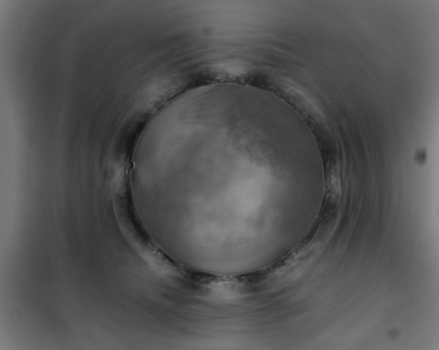 X0000102010468200807251313