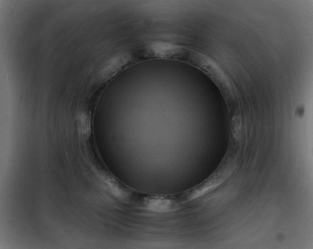 X0000102010471200807251313