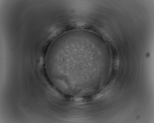 X0000102010472200807251313