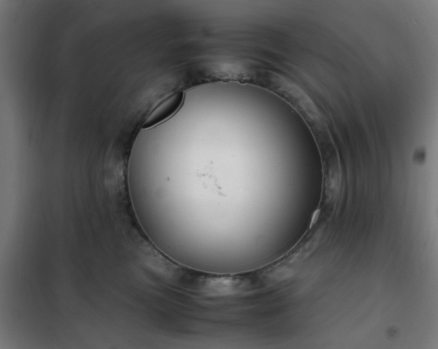 X0000102010473200807251313
