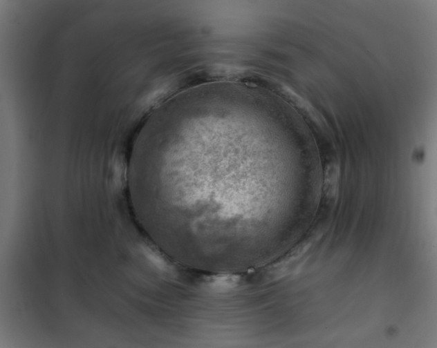 X0000102010474200807251313