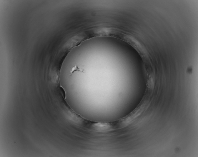 X0000102010477200807251313