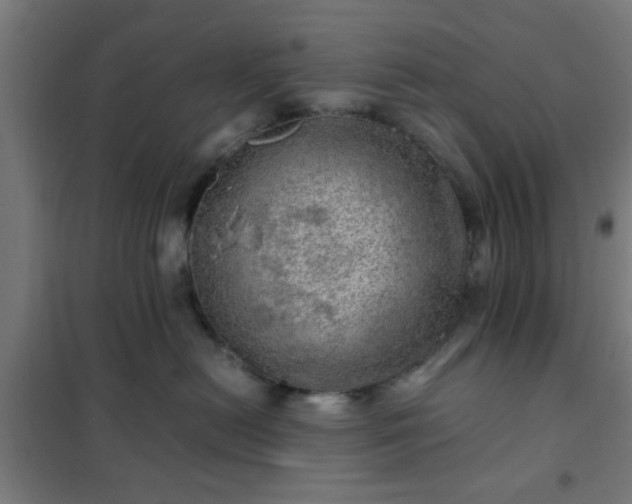 X0000102010478200807251313