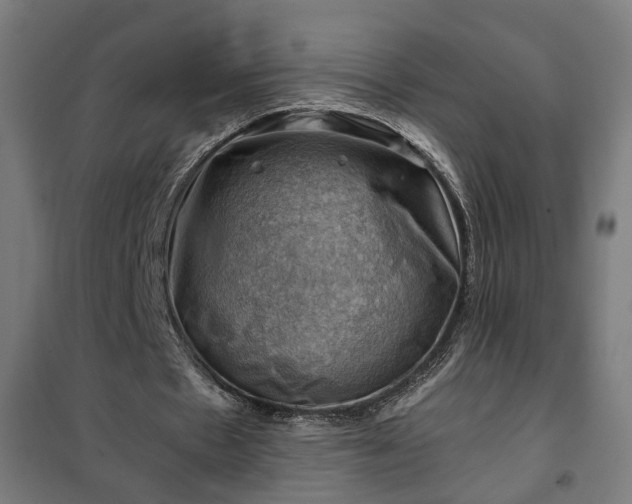 X0000102010481200807251312