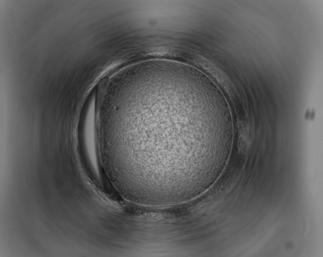X0000102010482200807251312