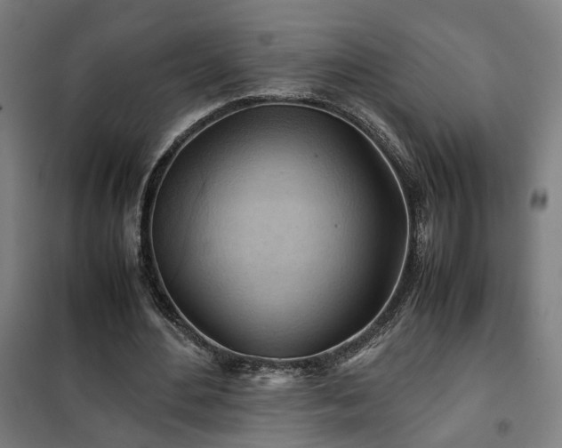 X0000102010484200807251312