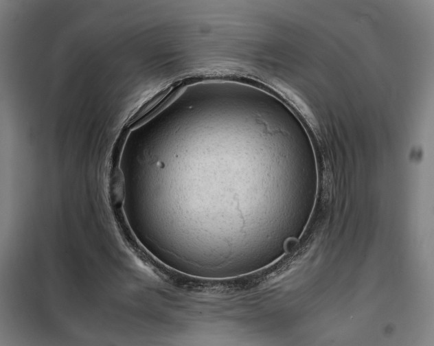 X0000102010485200807251312
