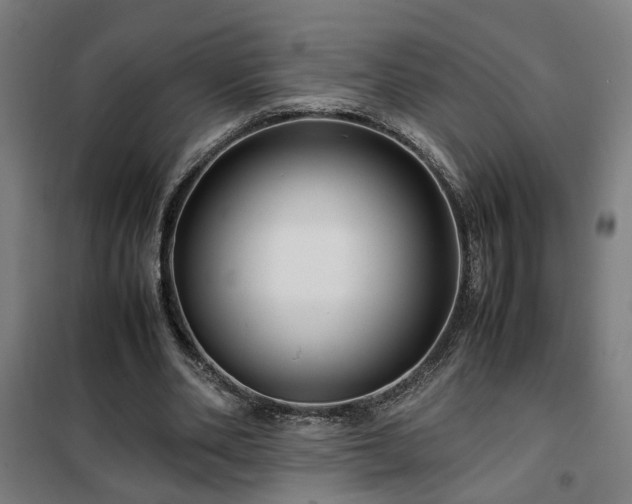 X0000102010486200807251312