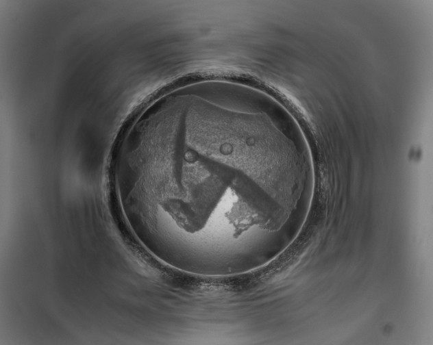 X0000102010487200807251312