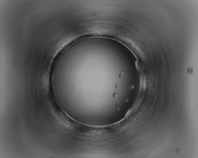 X0000102010488200807251312