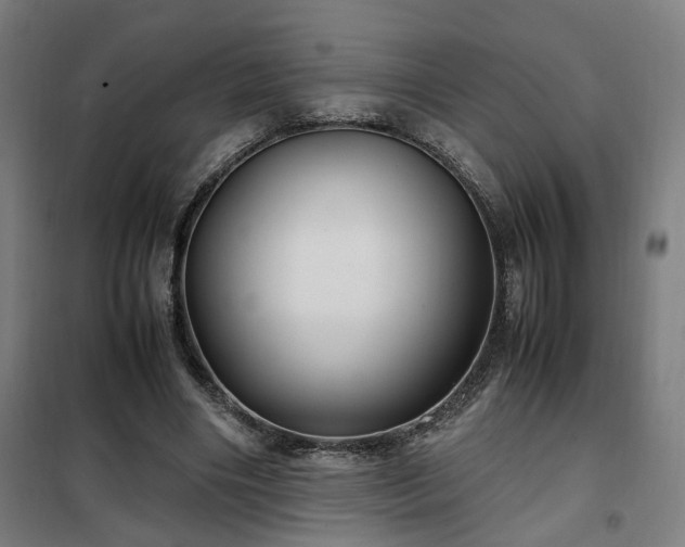 X0000102010490200807251312