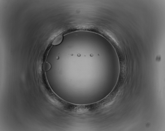 X0000102010491200807251312