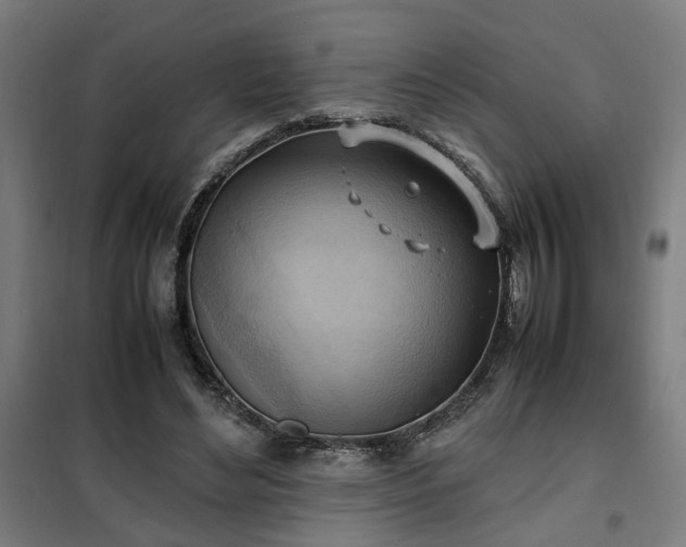 X0000102010492200807251312