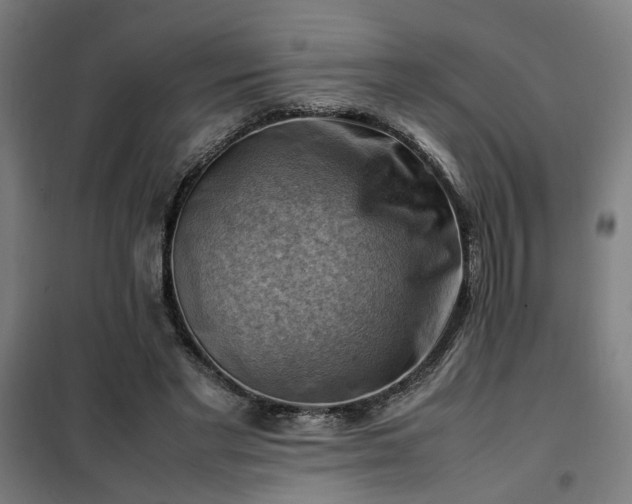 X0000102010493200807251312