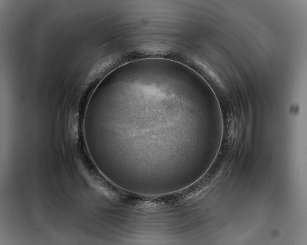 X0000102010494200807251312
