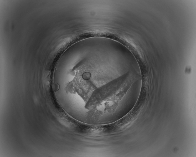 X0000102010495200807251312