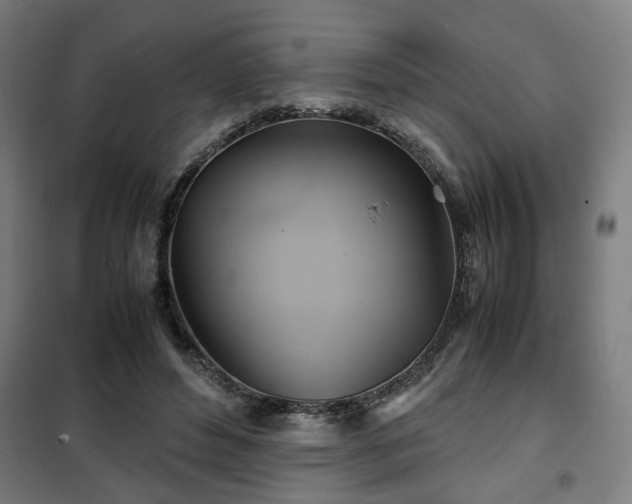 X0000102010496200807251312