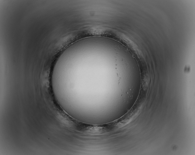X0000102010497200807251312
