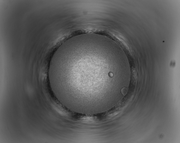 X0000102010499200807251312
