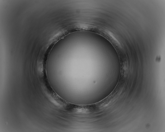 X0000102010500200807251312