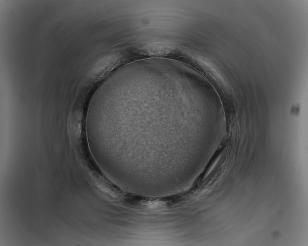 X0000102010501200807251312