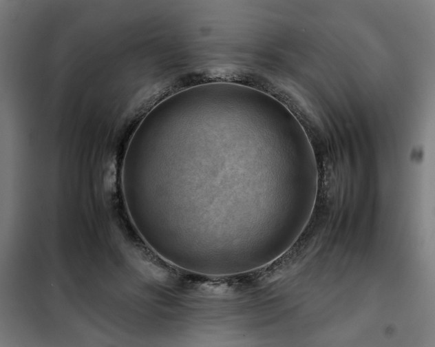 X0000102010502200807251312