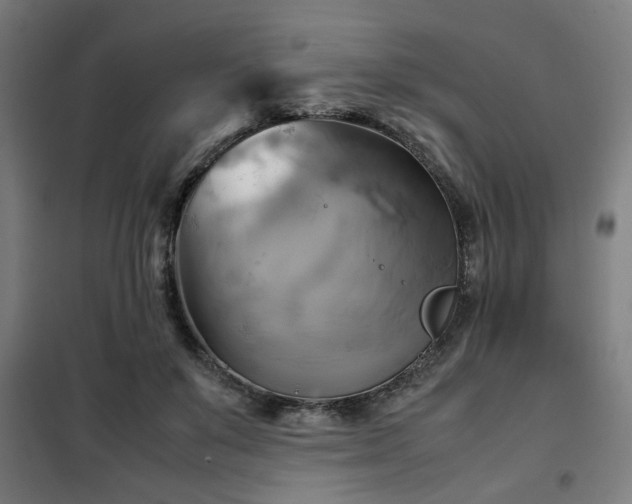 X0000102010503200807251312